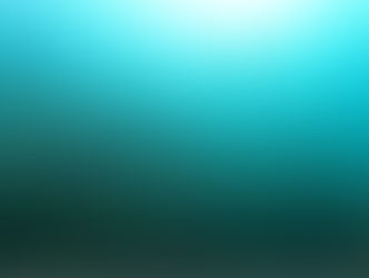 【11月16日(水)】魚がたーくさん