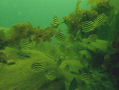 【7月21日】2層の潮