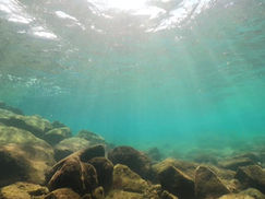 【9月28日】ベッタリ!! ウネリなし