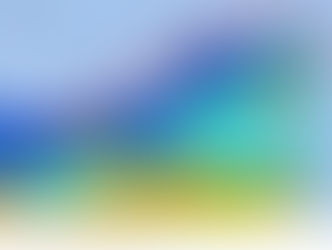 【4月7日(日)】海藻対策