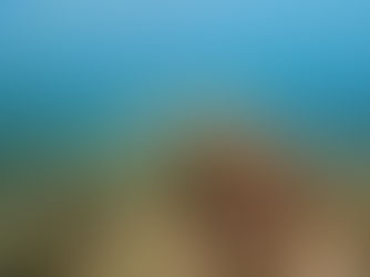 【9月5日】西と東の差