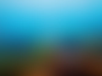 【2月19日(木)】透明度な鎖