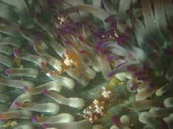 【7月28日】ロープ沿いでいこう!