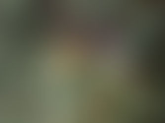 【7月28日】ロープ沿いでいこう!