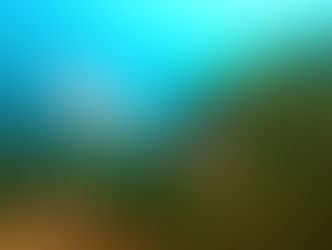 イカ? ベラ? イカ? ベラ? イカ? ベラ?
