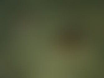 【7月22日】週末に向けて