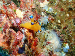 【2月14日】楽しい生き物三昧
