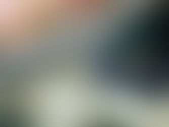 【7月25日(火)】海の生き物たちの繁殖シーン