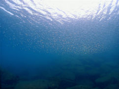 【9月29日(木)】浅場、サイコー!!