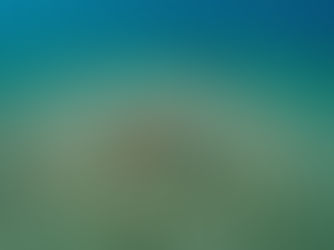 透明度ほぼ復活!!