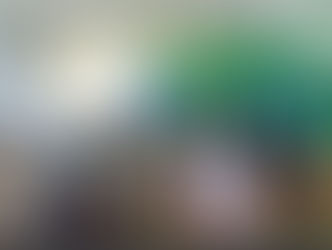 【4月30日(月)】いつもの海の総合学習