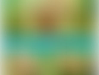 【11月6日(水)】サンゴに色が戻ってきた