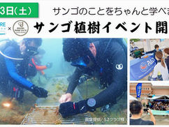 【お知らせ】ダイバー向けサンゴ植樹イベント2026