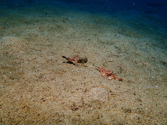 【12月27日(火)】今年はやや深め