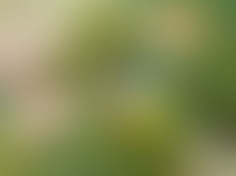 【6月23日】めっちゃ元気!!