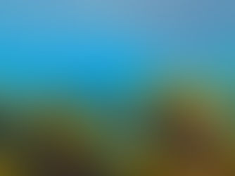 【4月3日】透明度が良くなってたーー!!