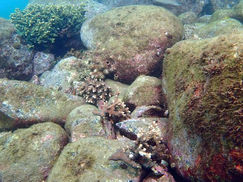 【10月14日】それにしても酷いね