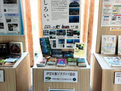 【2月2日】伊豆の海の遊び方紹介展示