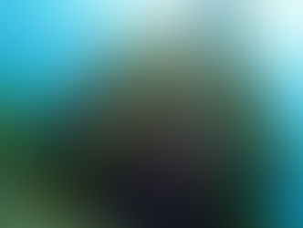 【6月10日(水)】透明度良好