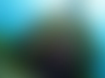 【6月10日(水)】透明度良好