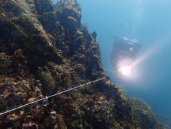 【2月11日(水)】厳格な訓練を