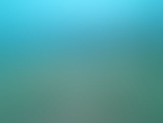 【8月12日】群れ三昧♪