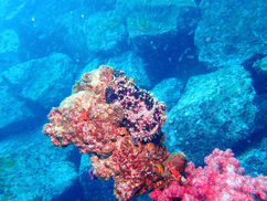 【2月18日】お気に入り