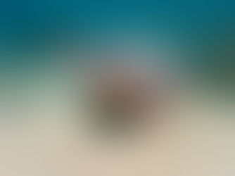 【4月19日】瓶の口からちょこんと顔を出している・・・