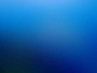 【12月24日(水)】比率逆転?それでも西が熱い!!