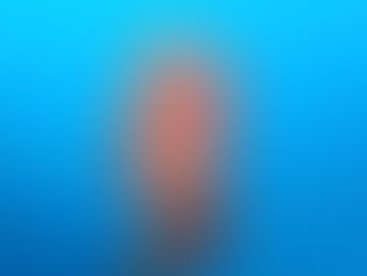 【12月21日(日)】静かな寝床