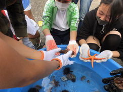 【10月27日】伊豆東海岸に出張