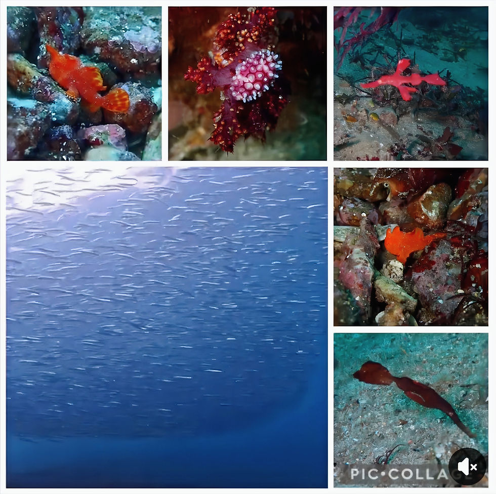 【12月26日(金)】2025年最後の方の海