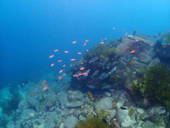 【5月2日】東側エリアでワイド狙い