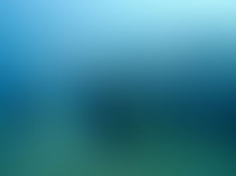 【10月13日(金)】群れ群れです!!