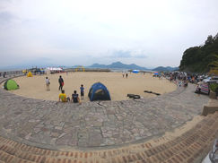 海面も海中も賑やかな1日に・・・