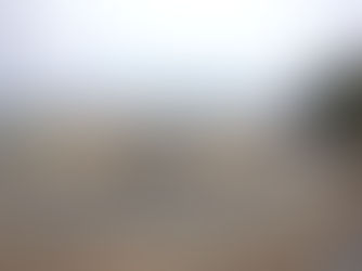 海面も海中も賑やかな1日に・・・