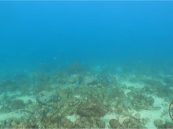 【11月18日(金)】生き物いろいろ