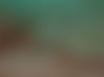 【6月17日】東の砂地