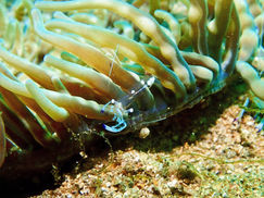 【2月10日(火)】硝子細工のような