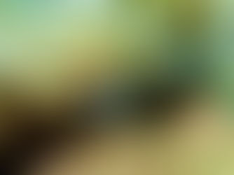 【2月10日(火)】硝子細工のような