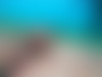 【7月26日(水)】意外なところでカエルアンコウ