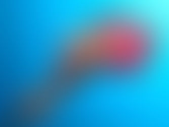 【4月25日】あれっ、入れ替わった??