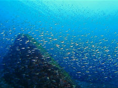 【2月28日】週末に月末・・・