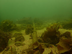 東海地方も梅雨明け