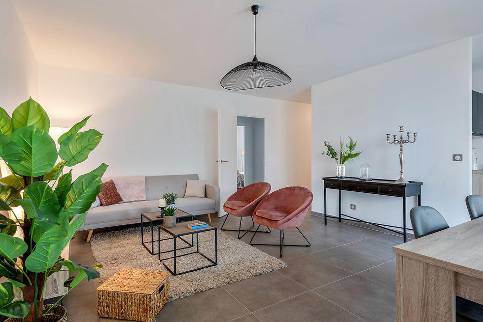 Appartement témoin Drome