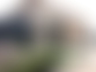 Arquitetura Neoclássica e seu esplendor