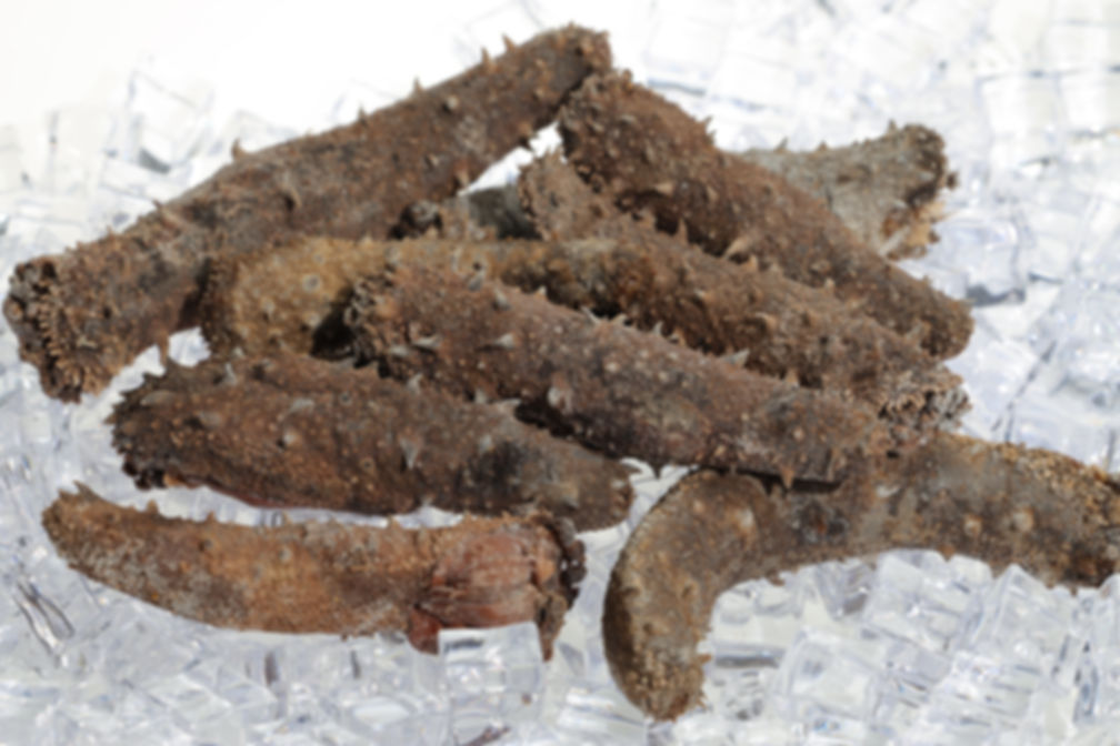 Semi-Dried Wild Caught Alaska Sea Cucumber 