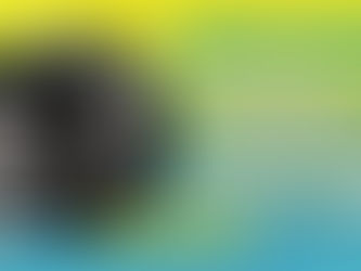 How My Multiethnic Church Split Over Race