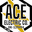 Writer: Ace Electric STW