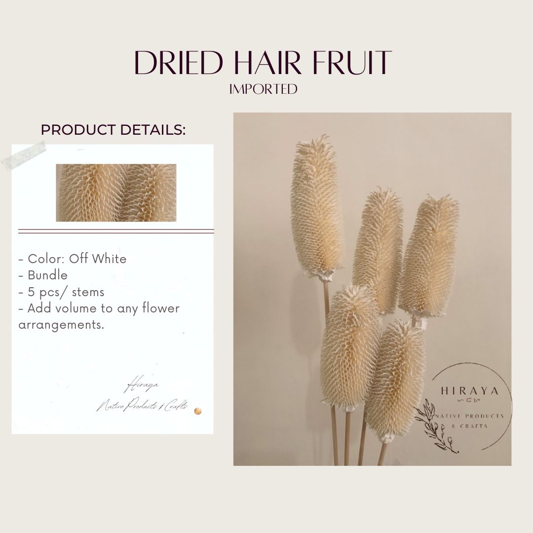 Dried Hair Fruit